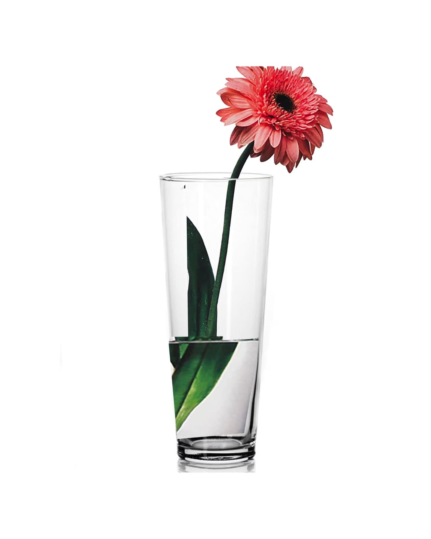 مزهرية زجاجية 26 سم من ماركة باشابهجة Pasabahce 43177 Glass Vase — 2