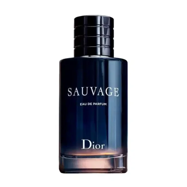 عطر ديور سوفاج أو دو بارفان 100 مل - 3348901368247