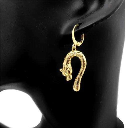 أقراط أذن نسائية Womens Earrings