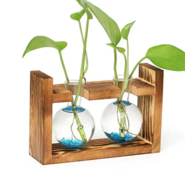 قارورة نبات ثنائية مع ستاند Dual Plant Bottle With Stand — 2