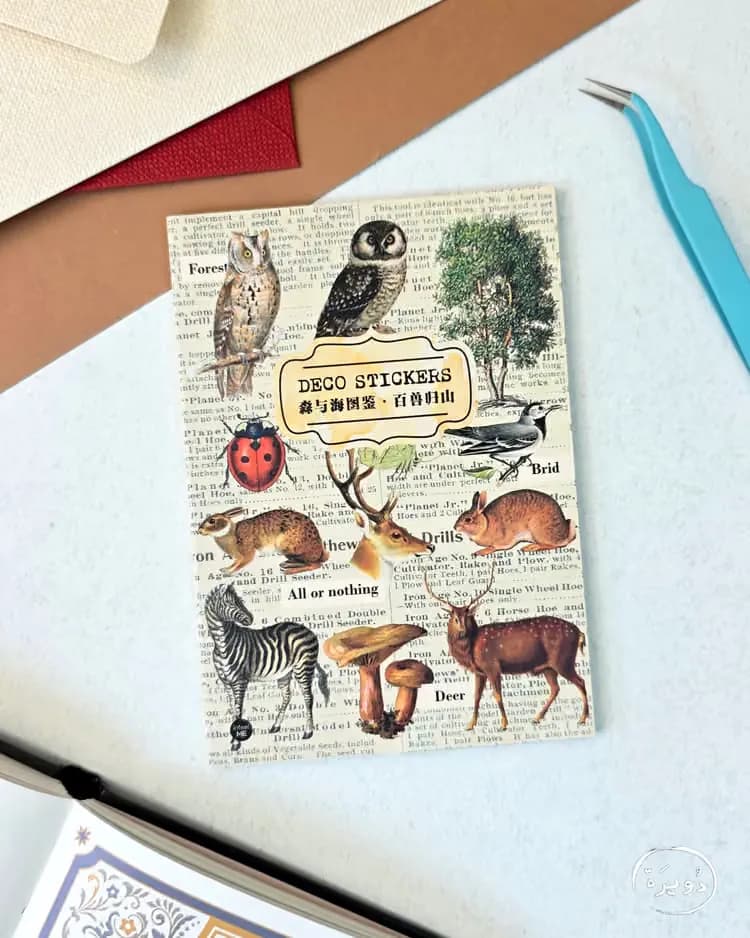 دفتر ملصقات Deco Stickers - تصميم حيوانات